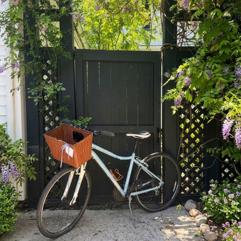 e-bike basket for sale 