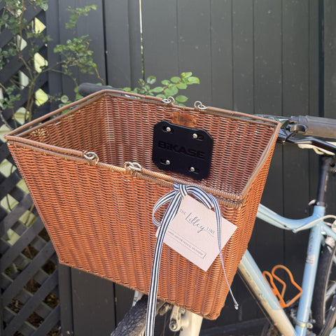 e-bike basket for sale 